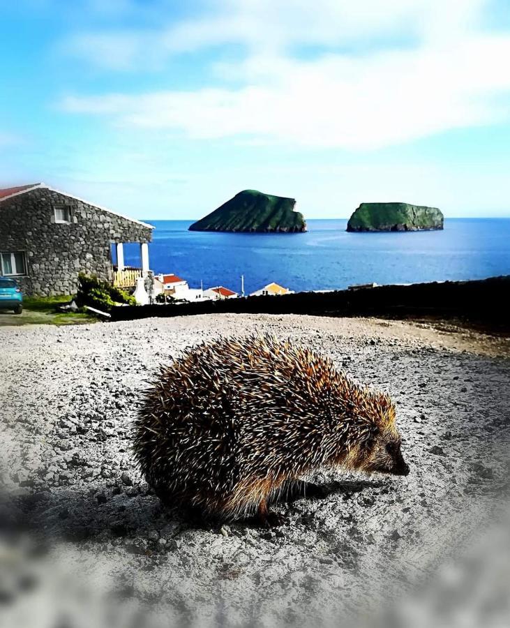 Breathe Nature - House Azores Villa