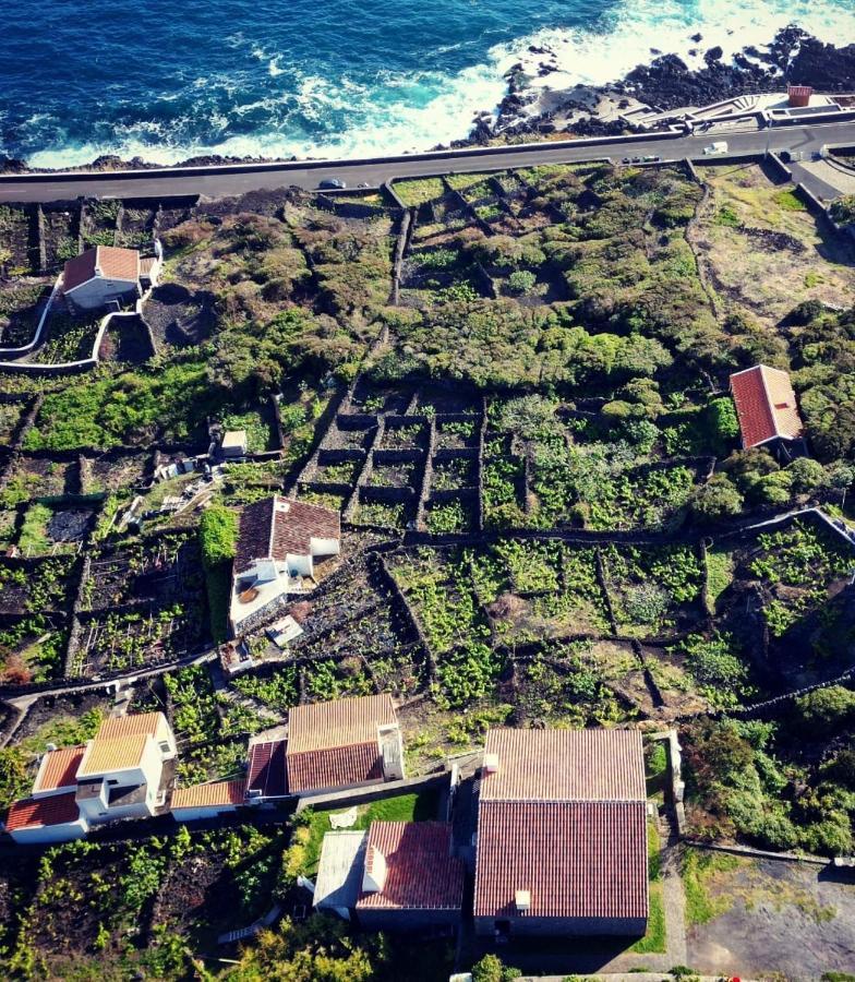 Breathe Nature - House Azores Villa